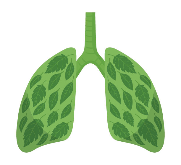 卡通健康肺。人类洁净的肺，绿色星球肺的比喻，良好生态条件的平面向量说明。清洁呼吸系统图片下载
