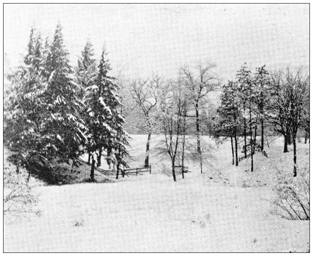 汉普顿县，马萨诸塞州的古董图像:斯普林菲尔德，雪域图片下载