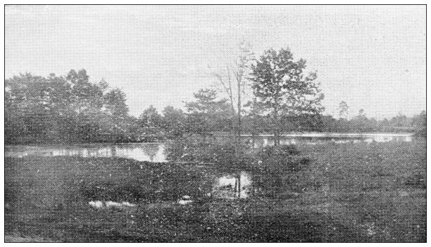 汉普顿县，马萨诸塞州的古董图像:斯普林菲尔德，五英里池塘图片下载