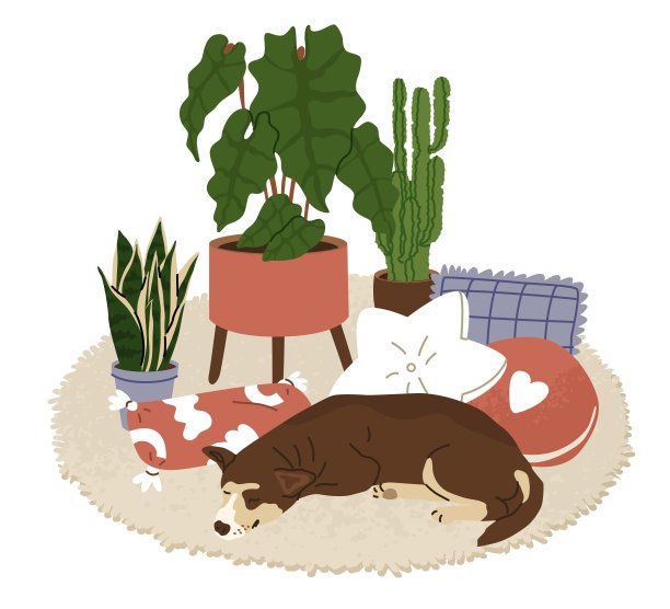 这只狗睡在柔软的浅色地毯上，周围是各种形状的枕头和室内盆栽。一个有宠物的舒适家的概念。矢量插图。图片下载