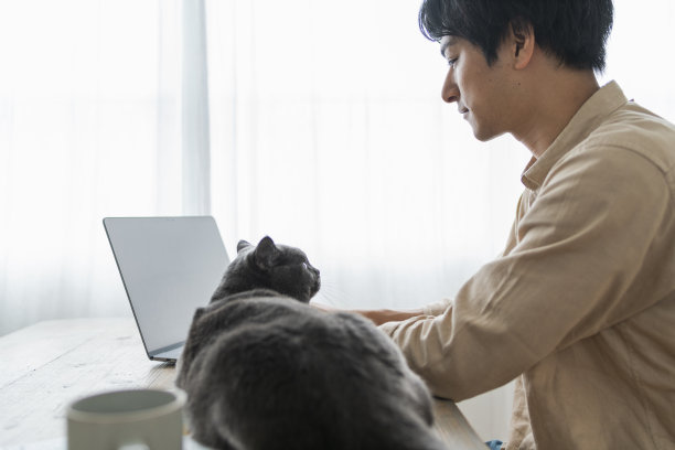 一个远程工作的男人和一只猫。图片下载