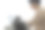 一个远程工作的男人和一只猫。图片下载