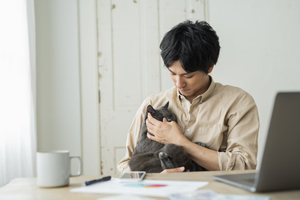 一个远程工作的男人和一只猫。图片下载