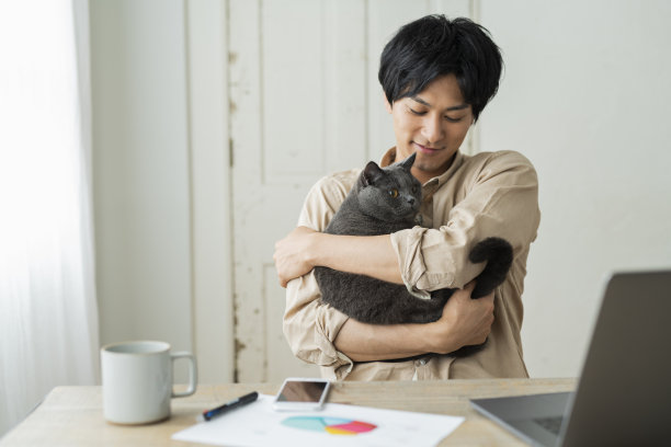 一个远程工作的男人和一只猫。图片下载