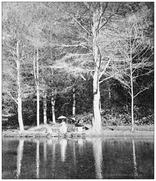 汉普顿县，马萨诸塞州的古董图像:斯普林菲尔德，森林公园池塘图片下载