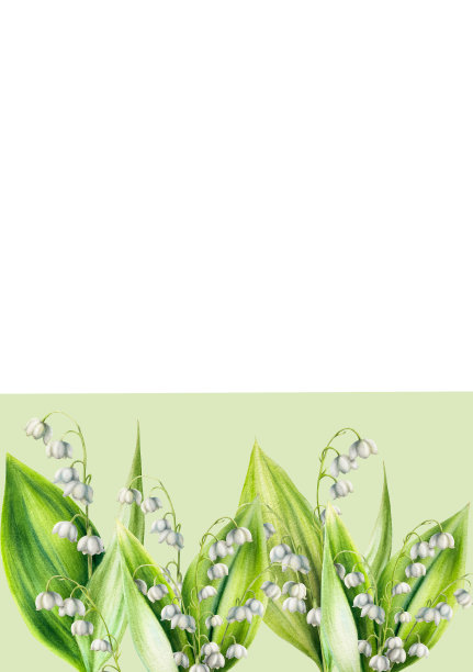 水彩明信片与一束百合的山谷花孤立的白色背景。春天手绘插画。适合设计师，婚礼，装饰，明信片，包装纸，剪贴簿，封面，邀请函，海报和纺织品图片下载