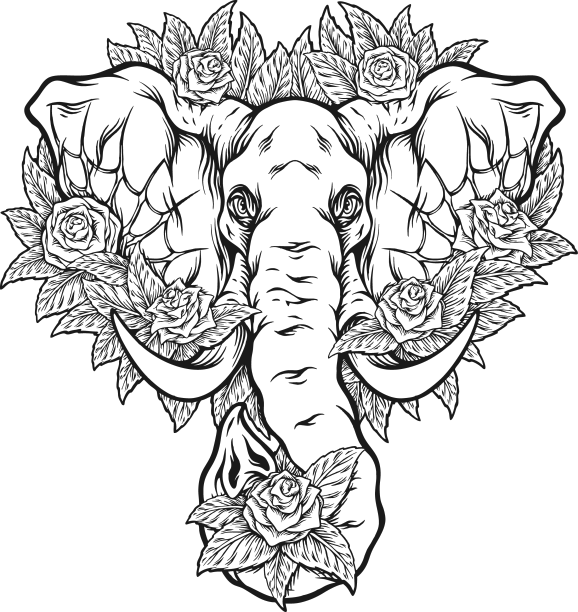 大象墓优雅的单色图片下载