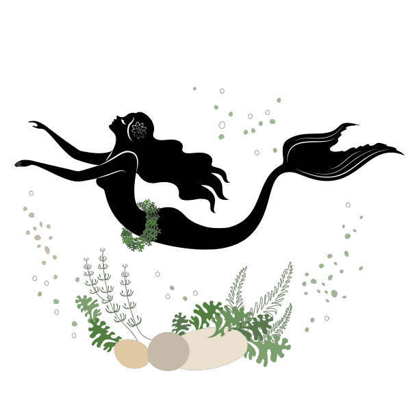 美人鱼的剪影一个美丽的女孩在游泳图片下载