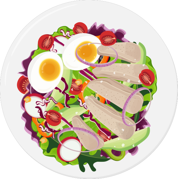 鸡肉沙拉俯视图图片下载