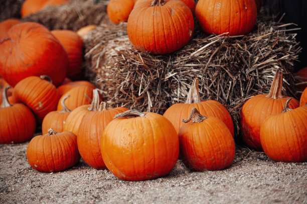 秋天，户外市场为万圣节出售的橙色南瓜图片下载