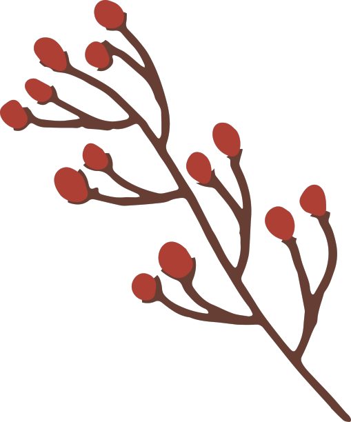 花蕾枝平图片下载