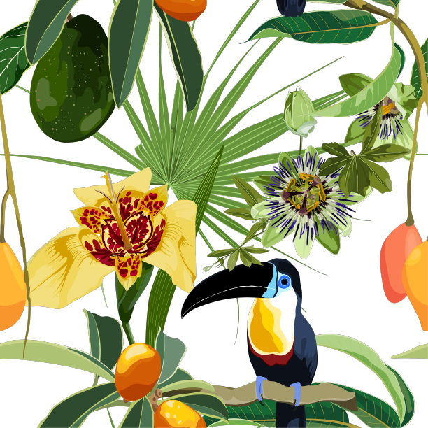 无缝热带图案与巨嘴鸟图片下载