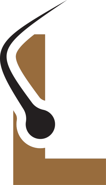 字母头发处理标志设计模板图片下载