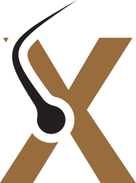 字母x头发处理标志设计模板图片下载