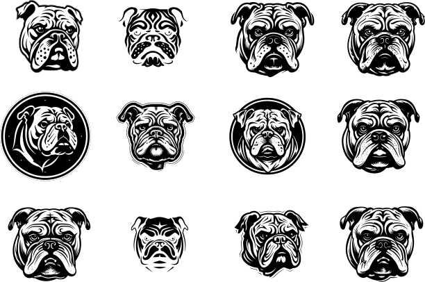 英国斗牛犬品种图片下载