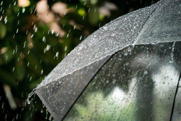 雨滴打在伞上图片下载