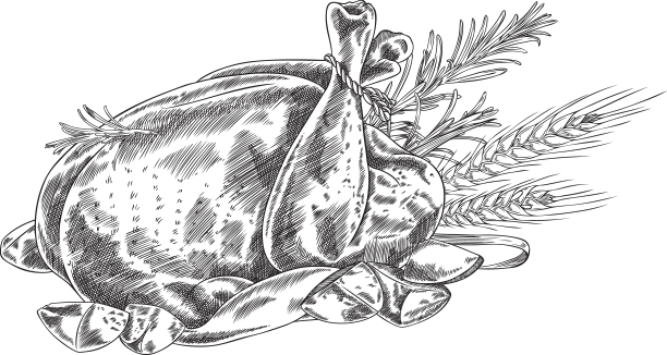 烤鸡火鸡或鸡肉手绘图片下载