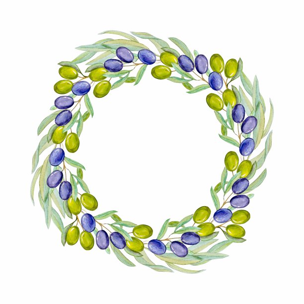 水彩橄榄枝花环插图图片下载