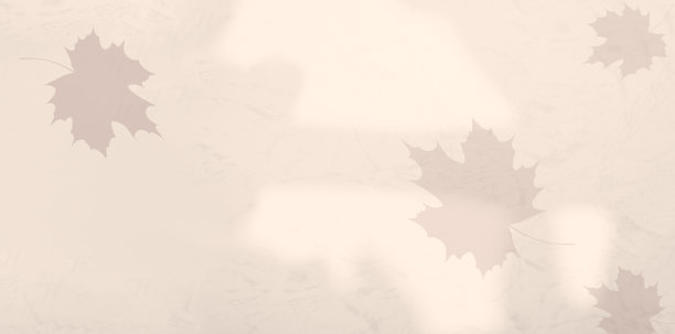 秋天的背景秋叶枝米色抽象海报派对感恩节设计阴影叶枫叶图案横幅节日社交模板黄色光粉彩壁纸墙壁模型展示场景。图片下载