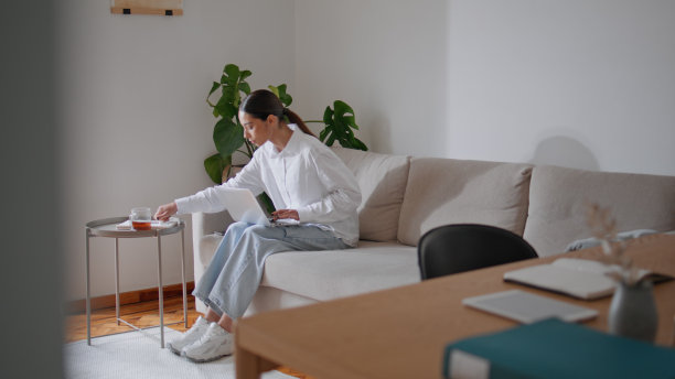 女士自由职业者写笔记工作的家庭沙发。女学生发短信笔记本电脑图片下载