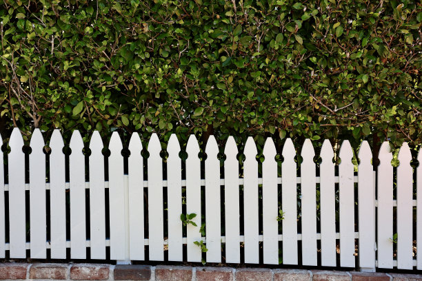 老式的白木尖桩栅栏图片下载