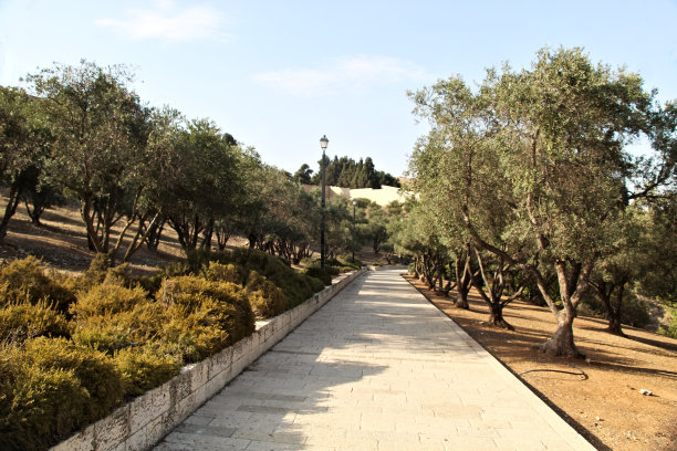 阿尼和摩西·特罗特纳公园（东耶路撒冷）图片下载