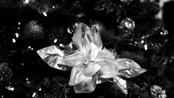 有花和花环的圣诞树(xxxl)图片下载