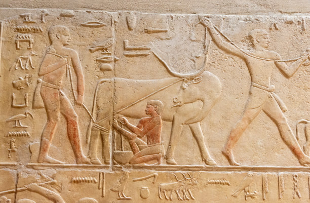 埃及萨卡拉内墙壁画（含左塞王阶梯金字塔，2023年3月23日）图片下载