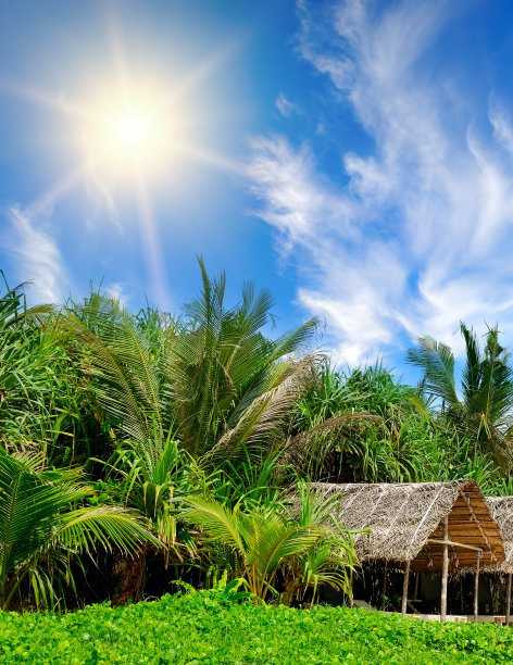 热带棕榈树和沙滩上的木屋。垂直的照片。图片下载