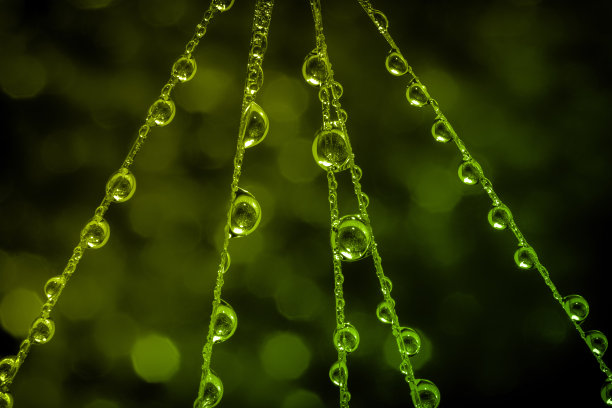 创意抽象水滴照片图片下载