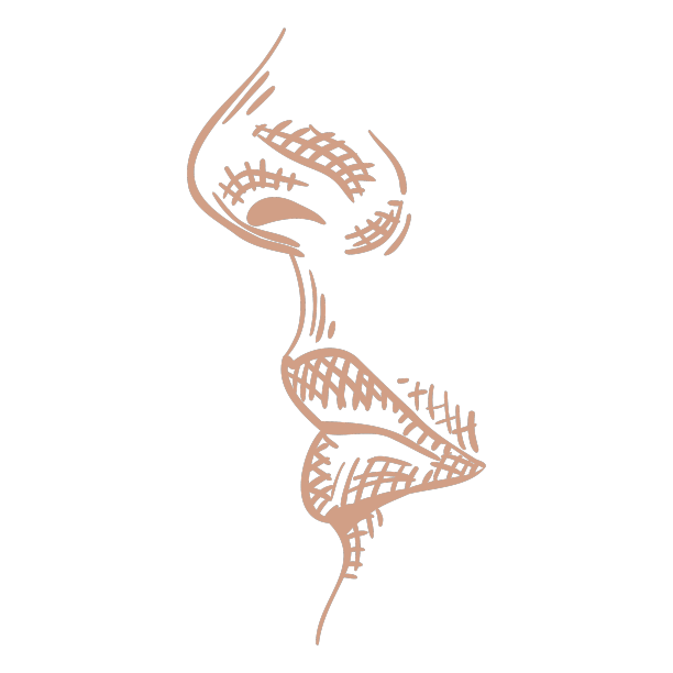 鼻子和嘴的轮廓手绘图片下载