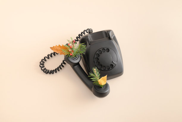 带有圣诞树枝和秋叶的复古电话图片下载