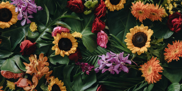 自然背景与绿色的热带树叶和五颜六色的花最小的夏季抽象森林模式或森林图片下载