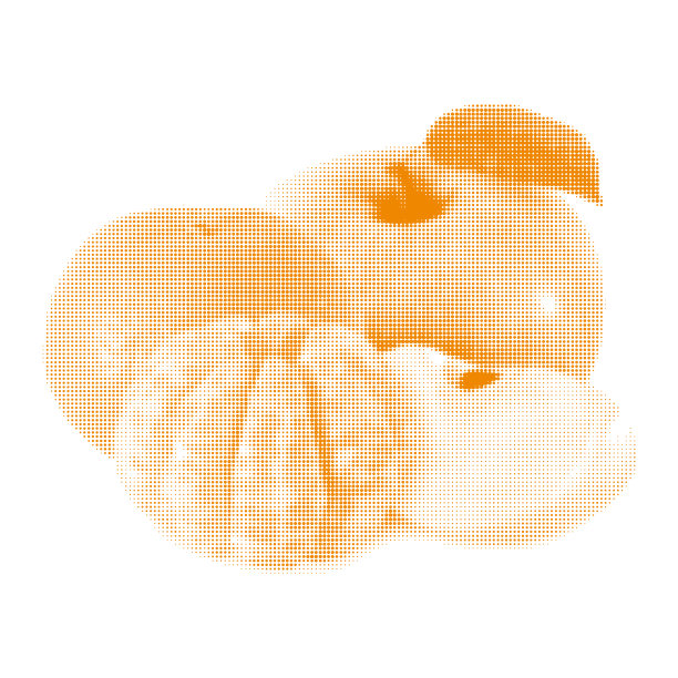 苹果，有叶子和橘红色的果实，去皮的部分，从不同大小的黄色圆点在白色的背景图片下载