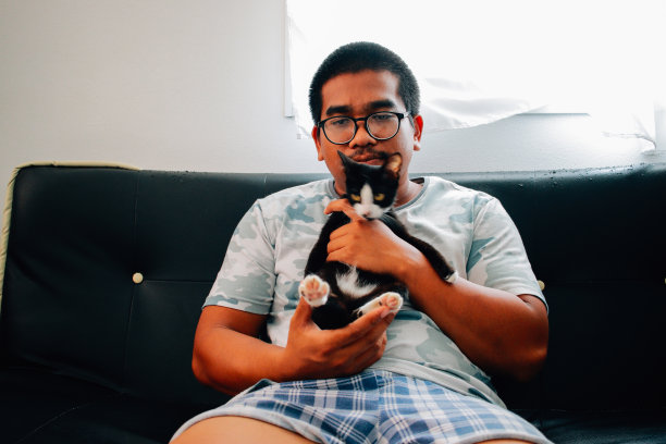 胖子和猫玩图片下载