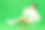 年轻女孩穿着白色运动服，戴着帽子，打完网球后坐在地板上，背景是绿色的工作室图片下载