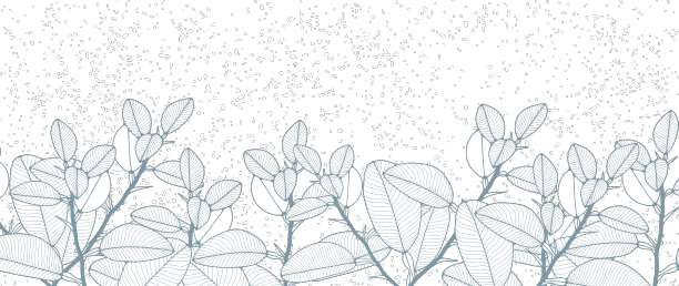 冬季浅蓝色植物背景图片下载