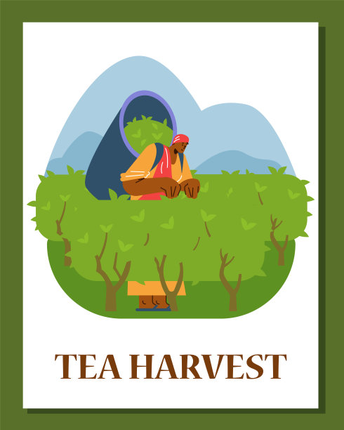 茶叶收获，卡与人对种植园，平面矢量插图图片下载