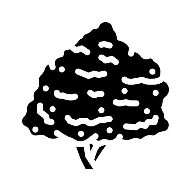 无花果树丛林亚马逊象形图标矢量插图图片下载