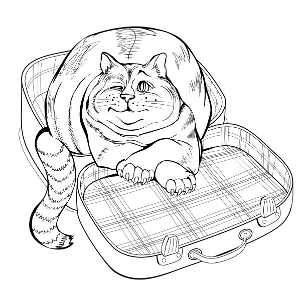 旅游公司抽象画。可爱的肥猫坐在行李箱里的幻想插画。黑白页儿童涂色书。手绘矢量素描在图形平板电脑上。图片下载