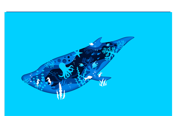 海洋鲸鱼剪影和海洋剪纸景观图片下载