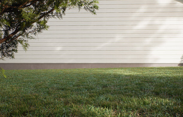 传统的美国住宅，有两个车库，一条车道和一棵大树。一个带草坪的院子，用来展示园艺产品三维渲染图片下载