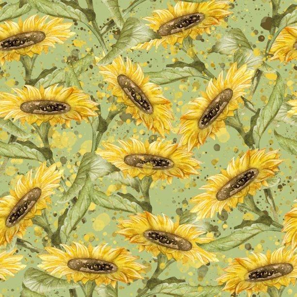 无缝图案向日葵花，黄色的花朵和飞溅滴。手绘水彩画。设计布料、厨房毛巾和桌布、包装。图片下载