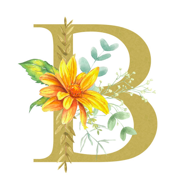 字母a:字母是柔和的金色，用向日葵、桉树和各种草药的水彩花装饰。图片下载