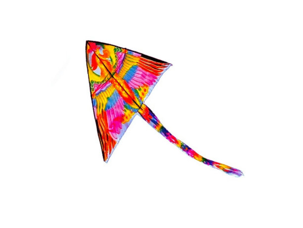 鸟翼鱼图案的风筝图片下载