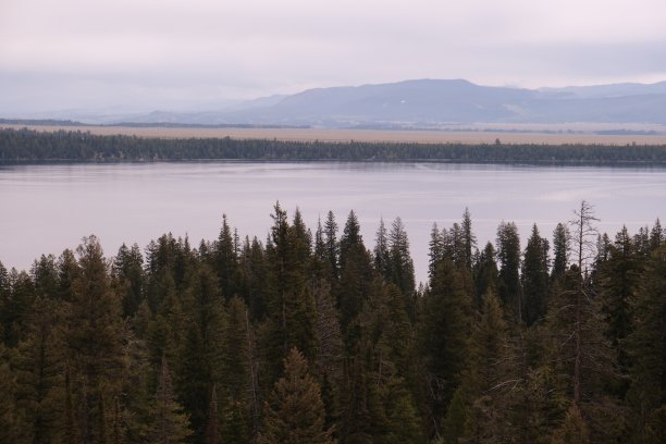 珍妮湖位于大提顿国家公园内。风景照片的高山湖泊周围的提顿山脉和常绿树木。图片下载