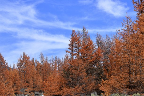 日本富士山的会惠火山口图片下载