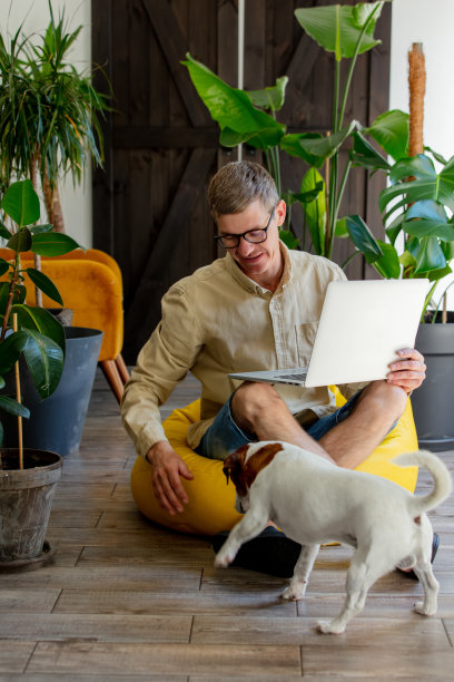 带着狗和笔记本电脑的时尚男士坐在家里的软椅上图片下载