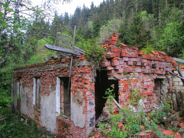 旧林业办公室的废墟图片下载