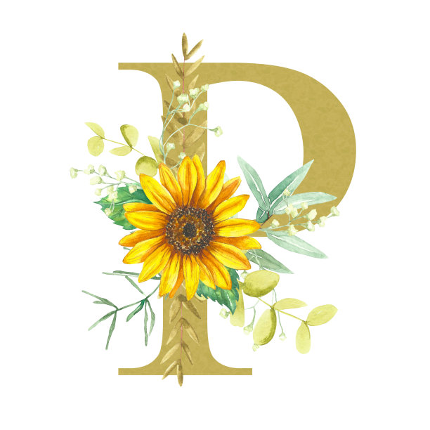 字母p字母是一种柔和的金色，用向日葵，桉树和各种草药的水彩花装饰。图片下载